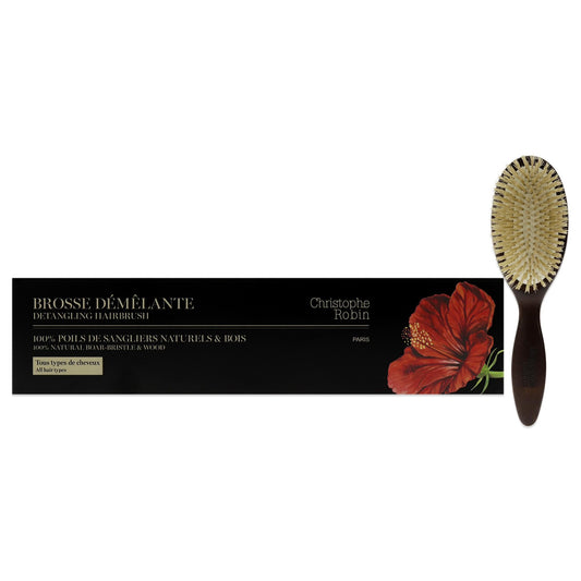 Travel Detangling Hairbrush by Christophe Robin for Unisex - 1 Pc Brush